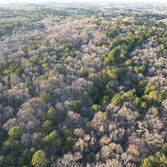 Copy of DJI_0048.JPG