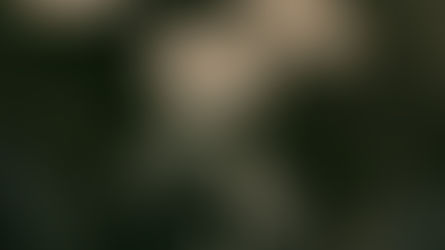 NEGATIVA DE ÓRTESES E PRÓTESES POR PLANOS DE SAÚDE É ILEGAL E PODE SER REVERTIDA NA JUSTIÇA