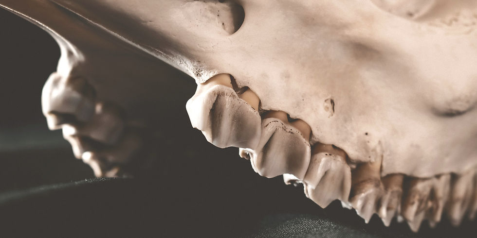 CIRURGIA DE ATM COM PRÓTESE PERSONALIZADA: JUSTIÇA OBRIGA PLANO DE SAÚDE A CUSTEAR 