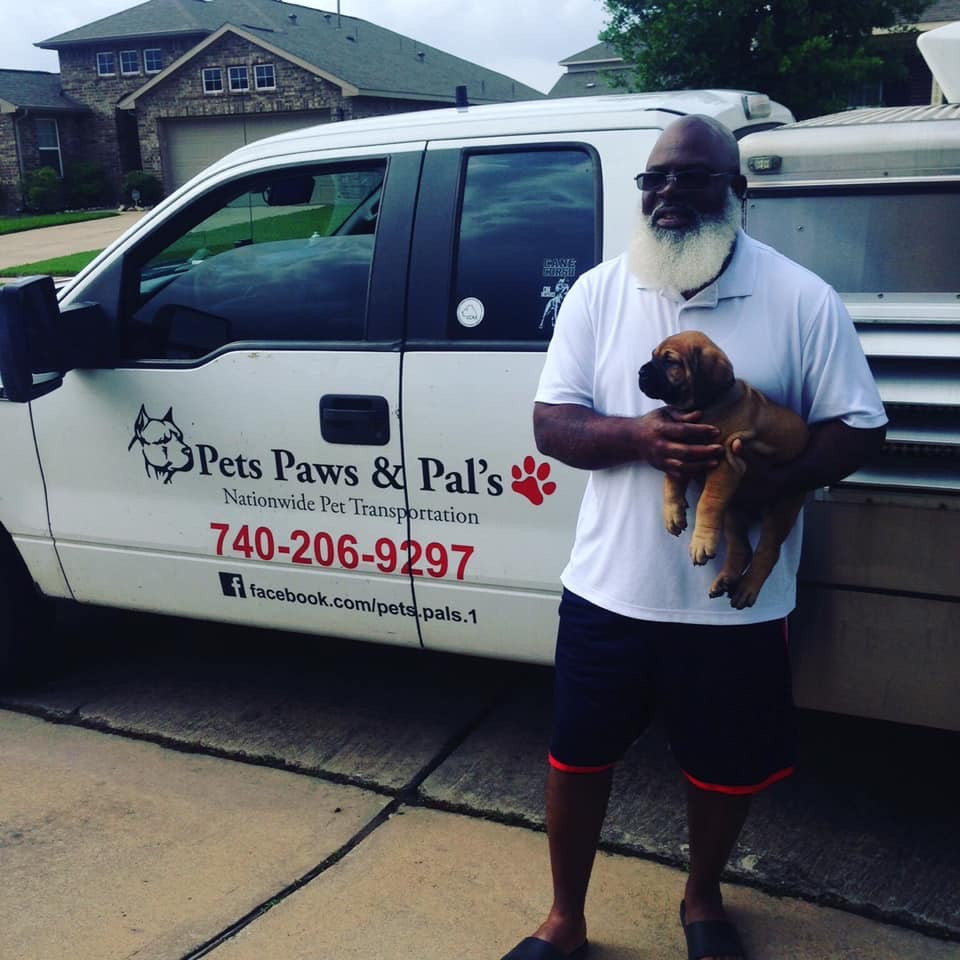 Fullscreen Page Pets Paws & Pals