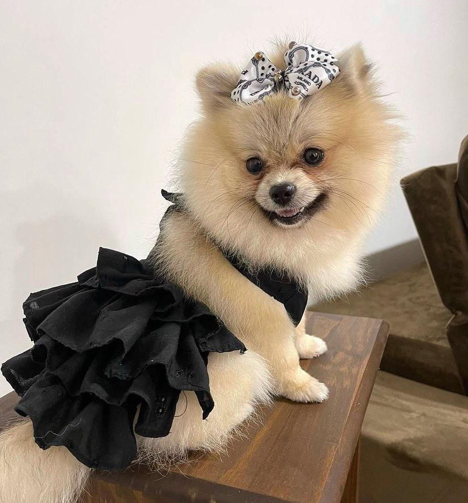 Miniatura: VESTIDO INSPIRAÇÃO