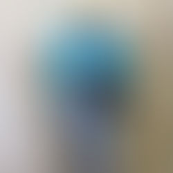 DETIENEN AL GUASÓN PIRATA EN AGS