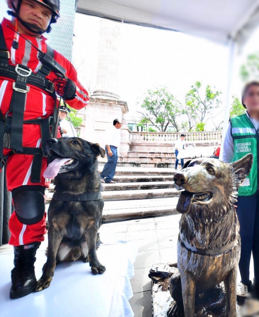 HACEN ESTATUA DE PERRO RESCATISTA EN AGS