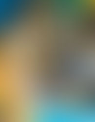 A REFUGIO PARA FELINOS EN AGS LLEGÓ UN TIGRE DE BENGALA