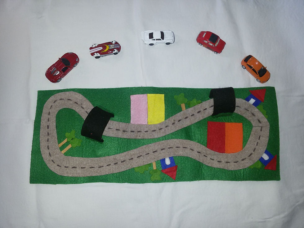 Miniatura: Pista PORTATILE