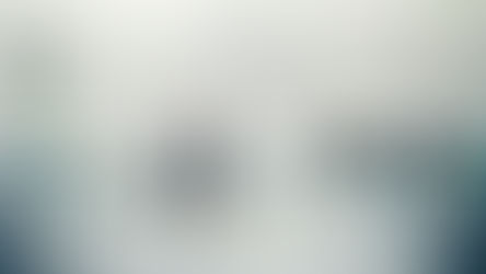 ייעוץ והכוונה בבניית אתר