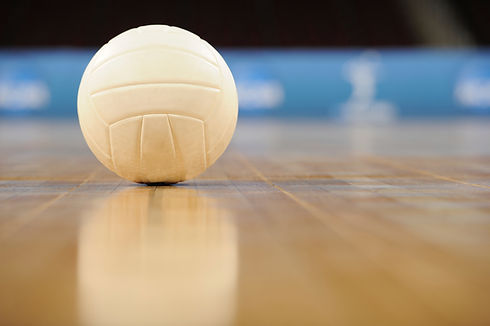 volleyball court_Large.jpg
