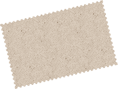 Asset 1.png