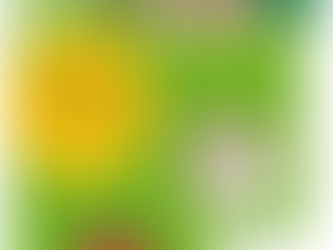 It's Summertime! Everyone's Outside!