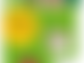 It's Summertime! Everyone's Outside!