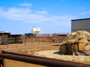 MEMBER SPOTLIGHT: Luke Theurer and the Power ofSmart Agriculture