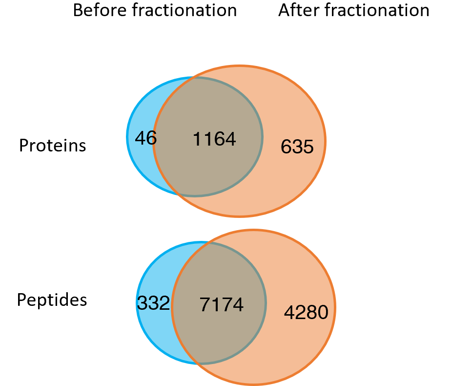 protein_peptide_before_after_fractionation.png