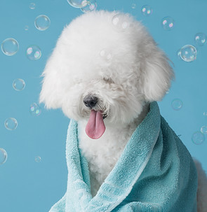shutterstock_2527672309.jpg