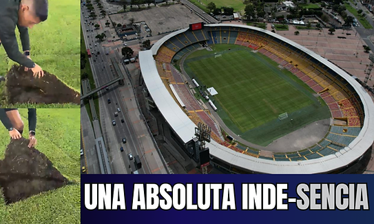 CONTENIDOS TITULARES 2.0 - 2026-10-14T134652.503.png