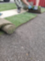 IMG_20190403_085809_BURST004.jpg