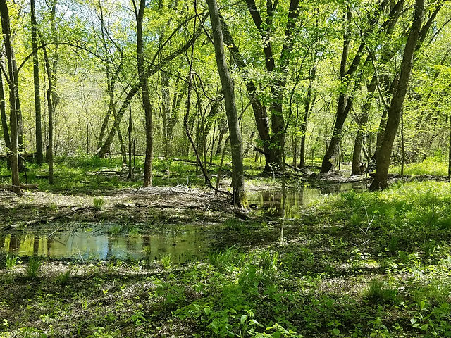 20170507_122409.jpg