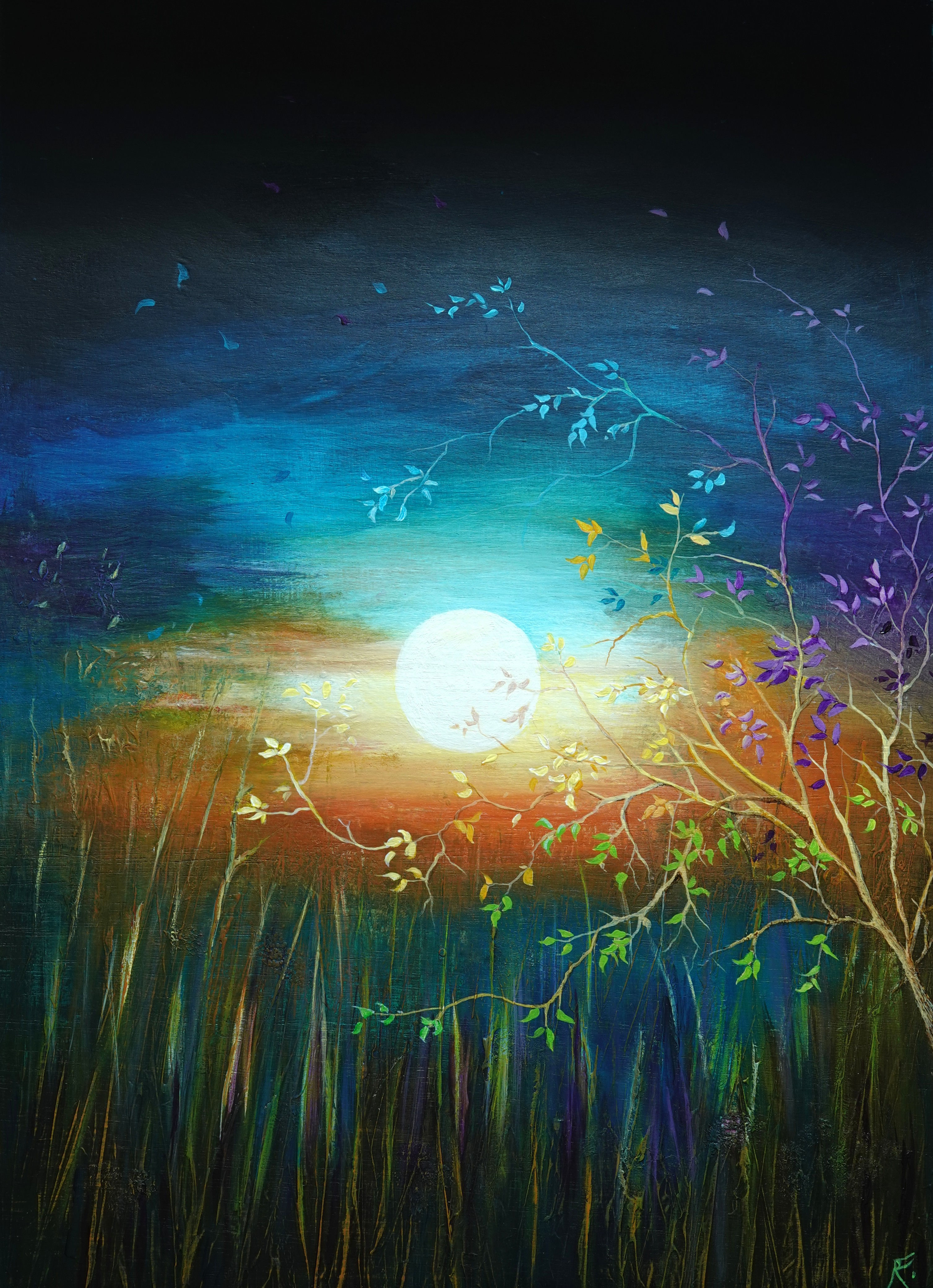 Colour Of Dreams