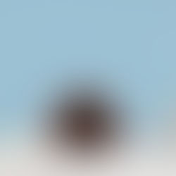 Take the leap! Jouw weg naar zelfvertrouwen en energie.