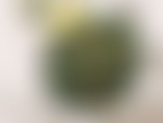 Silverbeet with Lemon and Walnut