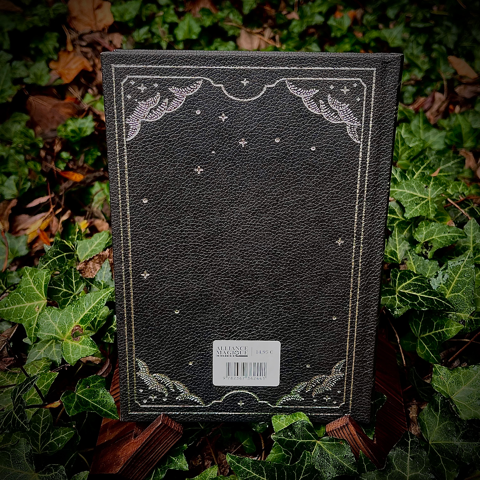 Miniature : Grimoire Vierge Lune