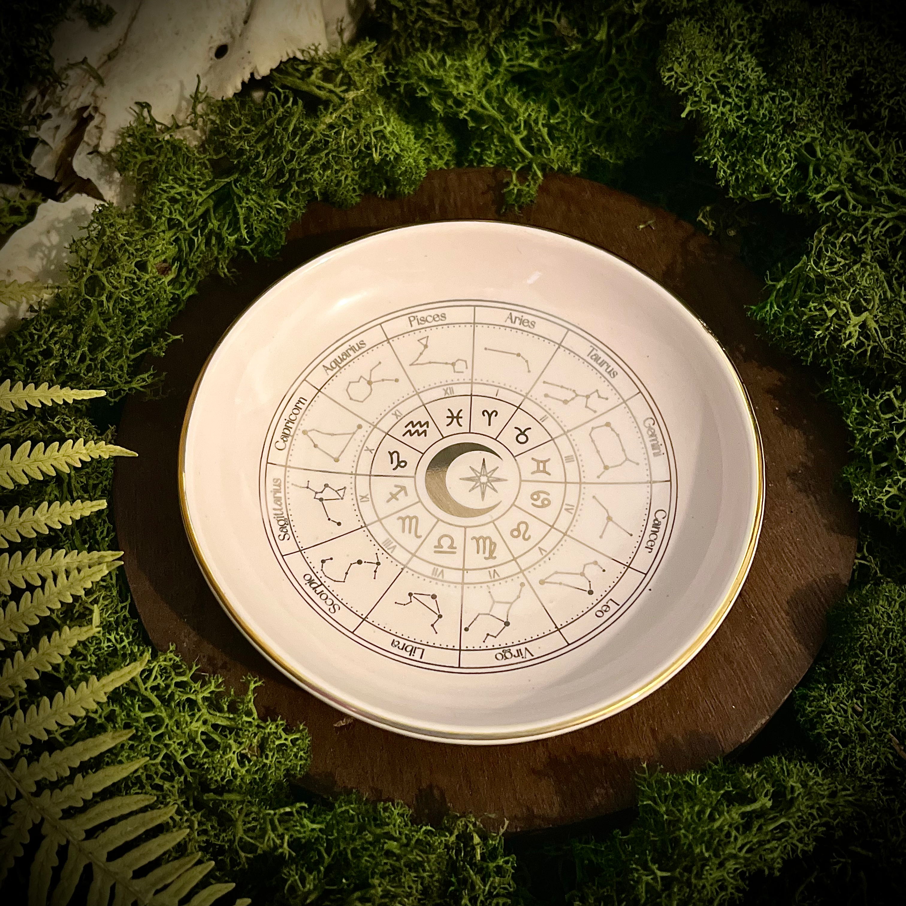 Astro Light - Coupelle