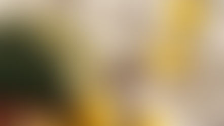 Litha, le solstice d'été