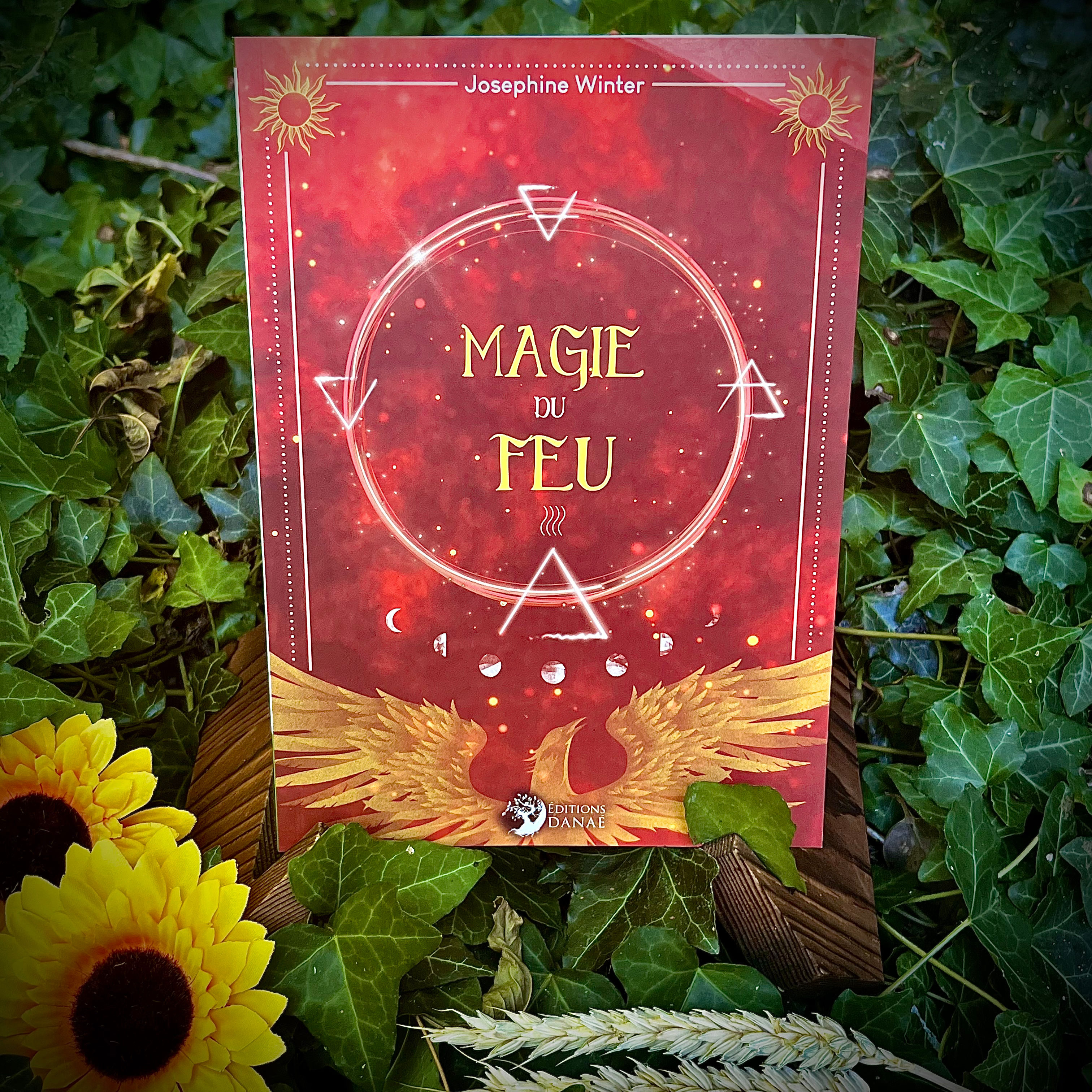 La Magie du Feu