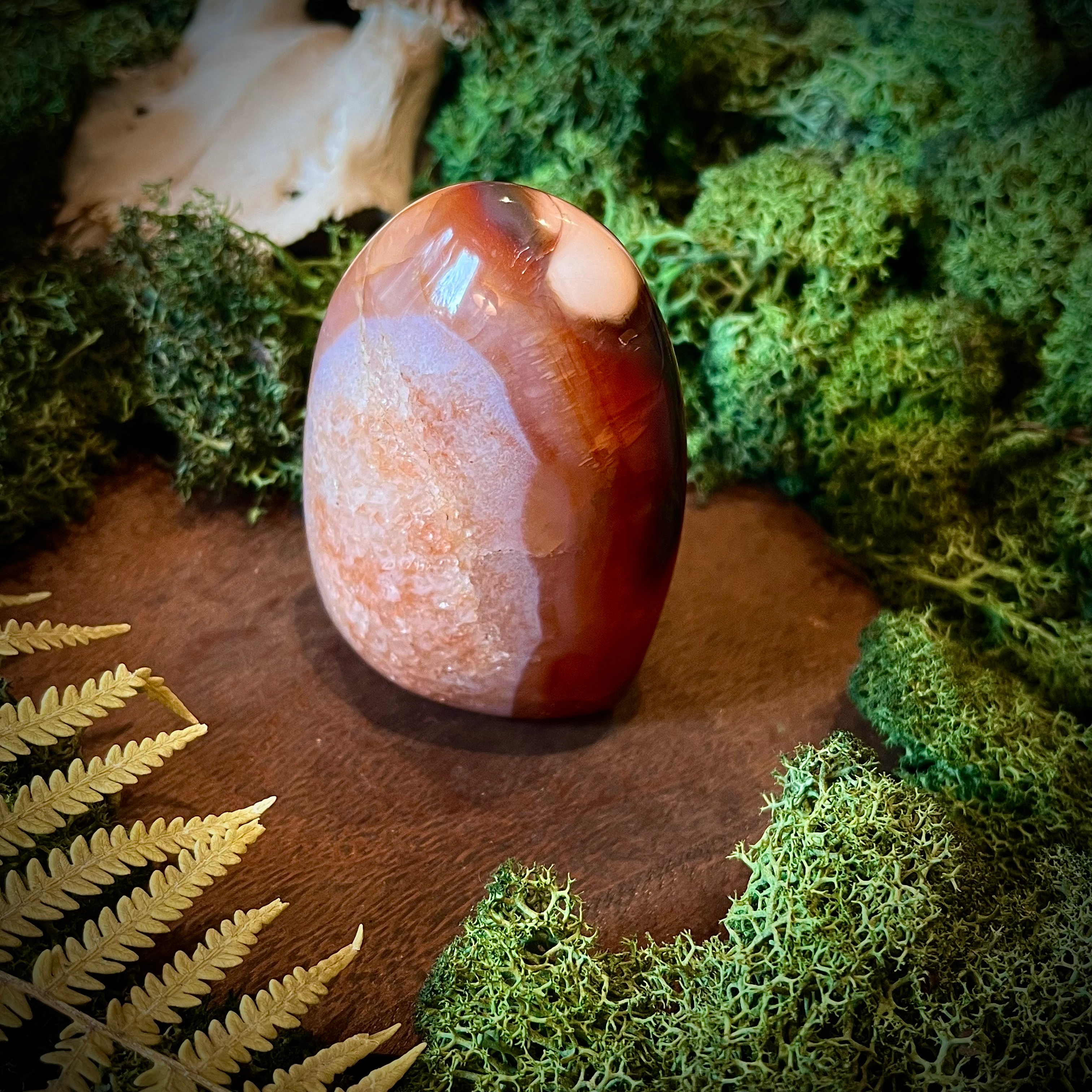 Cornaline - Forme Libre