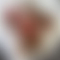 Leopard Fall Sneakers