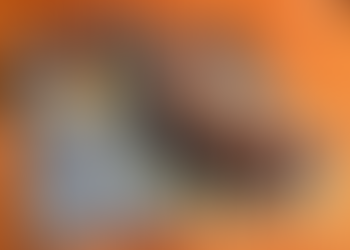 Mini-Beasts with Mary Porter