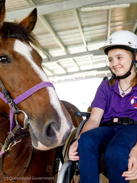 RDA search for new horses