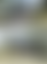 Accessible amenities block at RDA