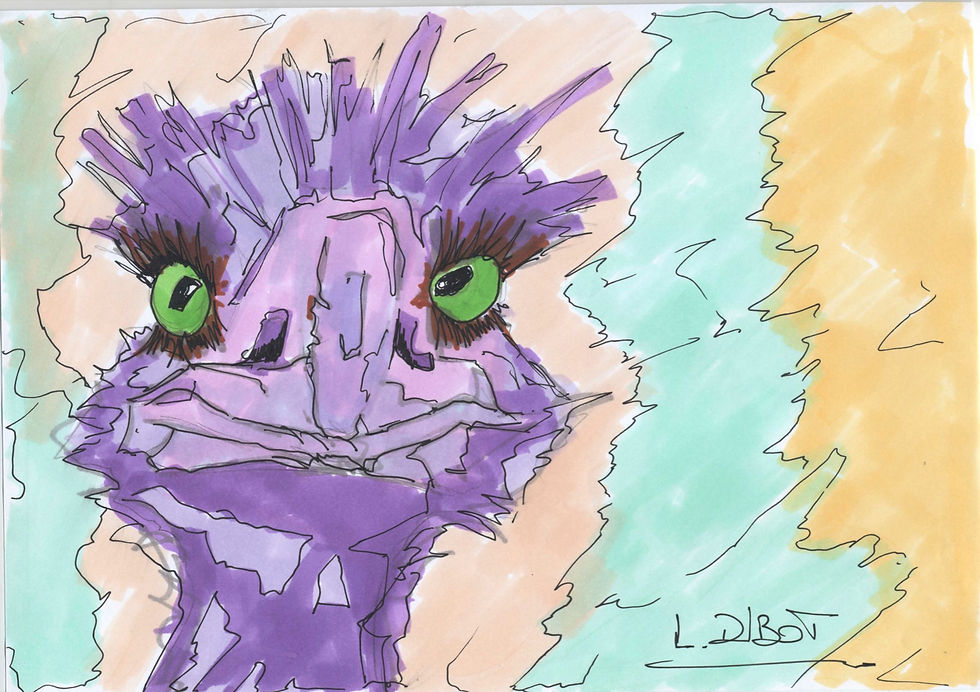Autruche (2)