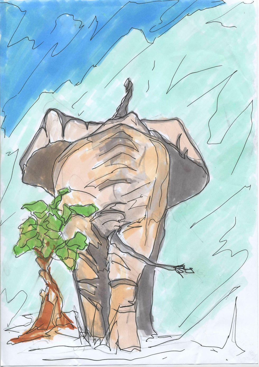 Elephant-Vigne