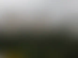 STF suspende liminar do TJ-SP que paralisou o Município de São Paulo