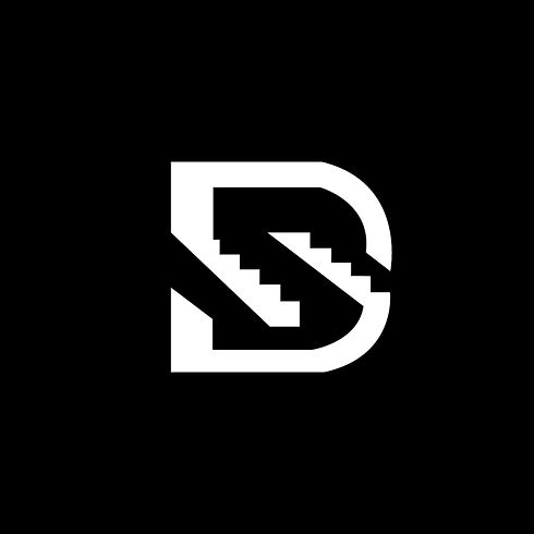 DS invertido 2.jpg