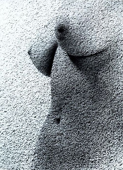 89.jpg