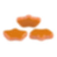 Opaque Apricot