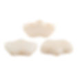 OP Beige CL