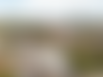 Focus Homes Köln Außenansicht Drohne