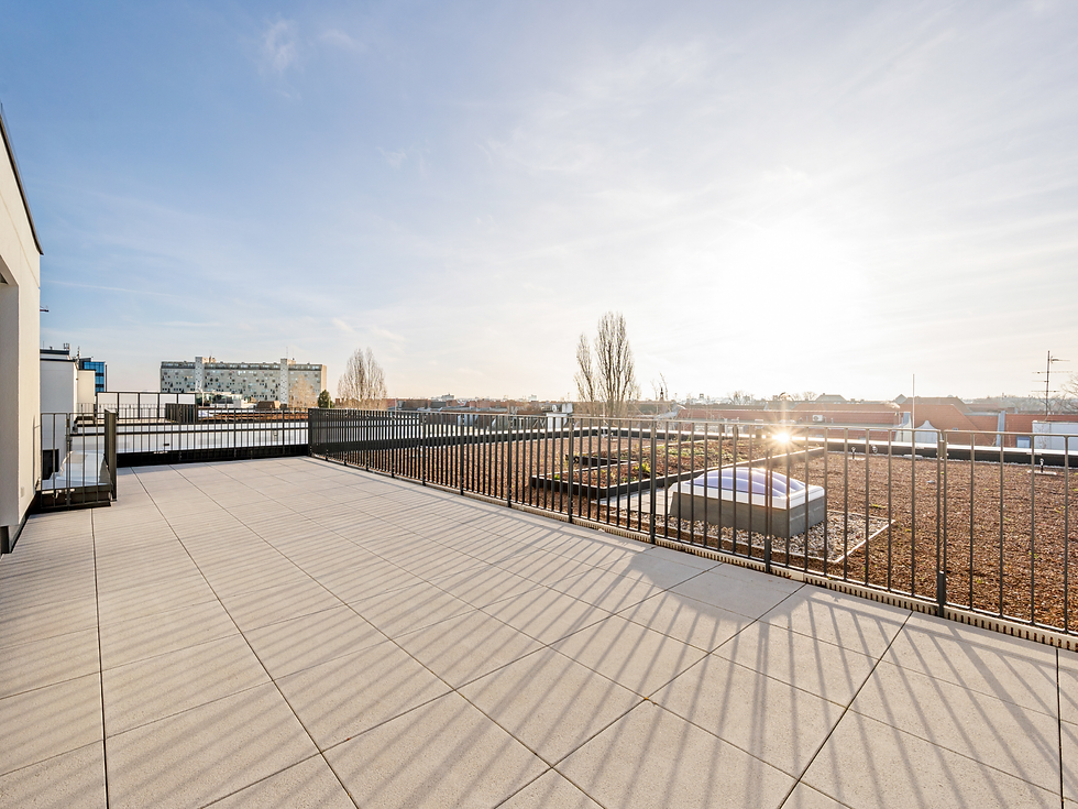 Dachterrasse 4 Zimmer Wohnung