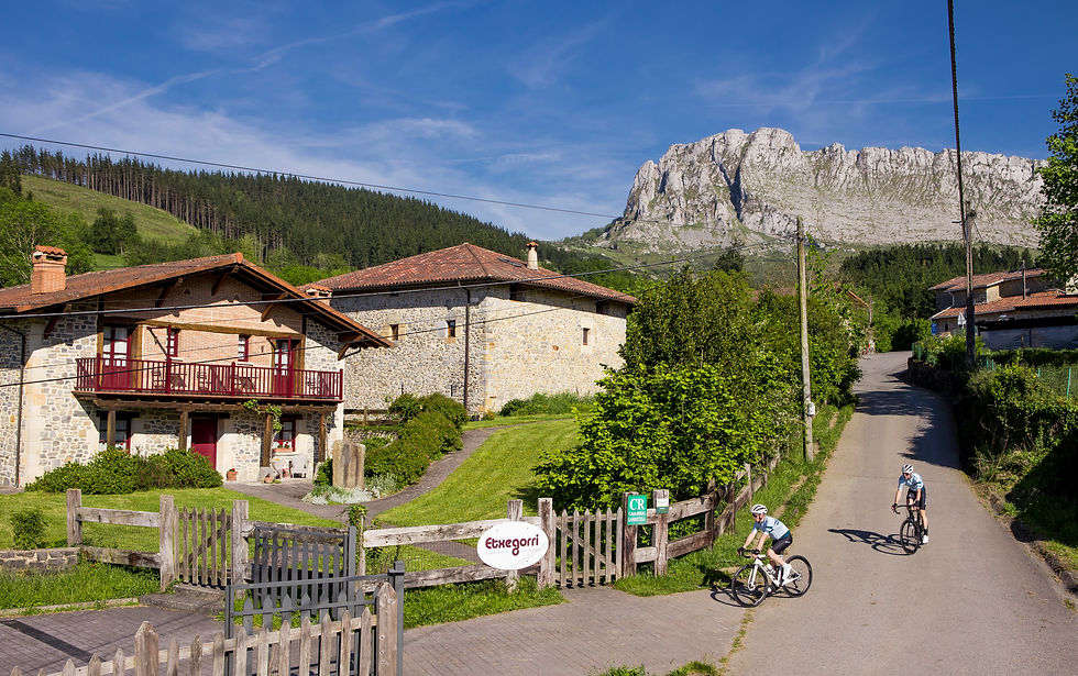 Copia de Casa Rural Etxegorri _I4A3862