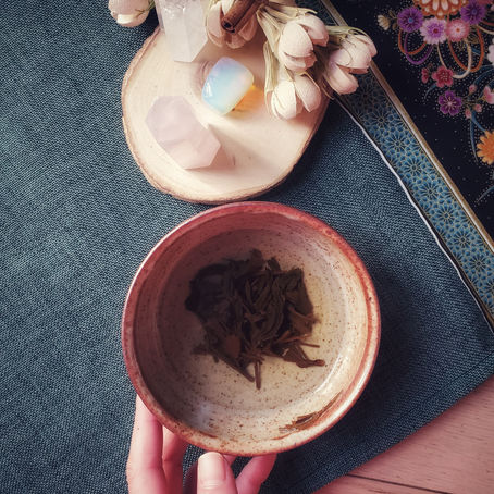 How Tea Opens Us Up and Connects Us to Nature