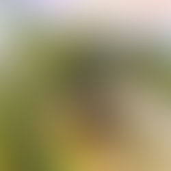 To Live Absolutely By The Heart