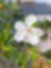 20240521_230950202_iOS.heic