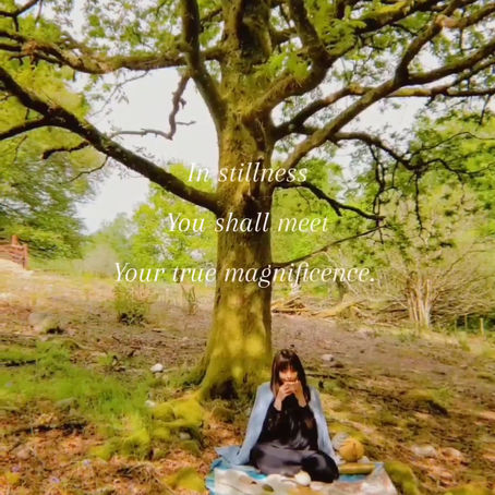 🍃地道🐉Dì Dào 🌿 native homeland plant medicine