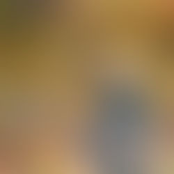 The Energetics Behind What I Do