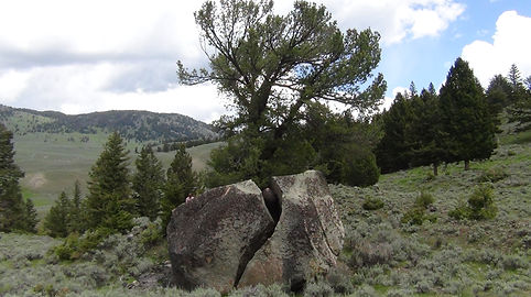 31     DSC02798 (1).JPG