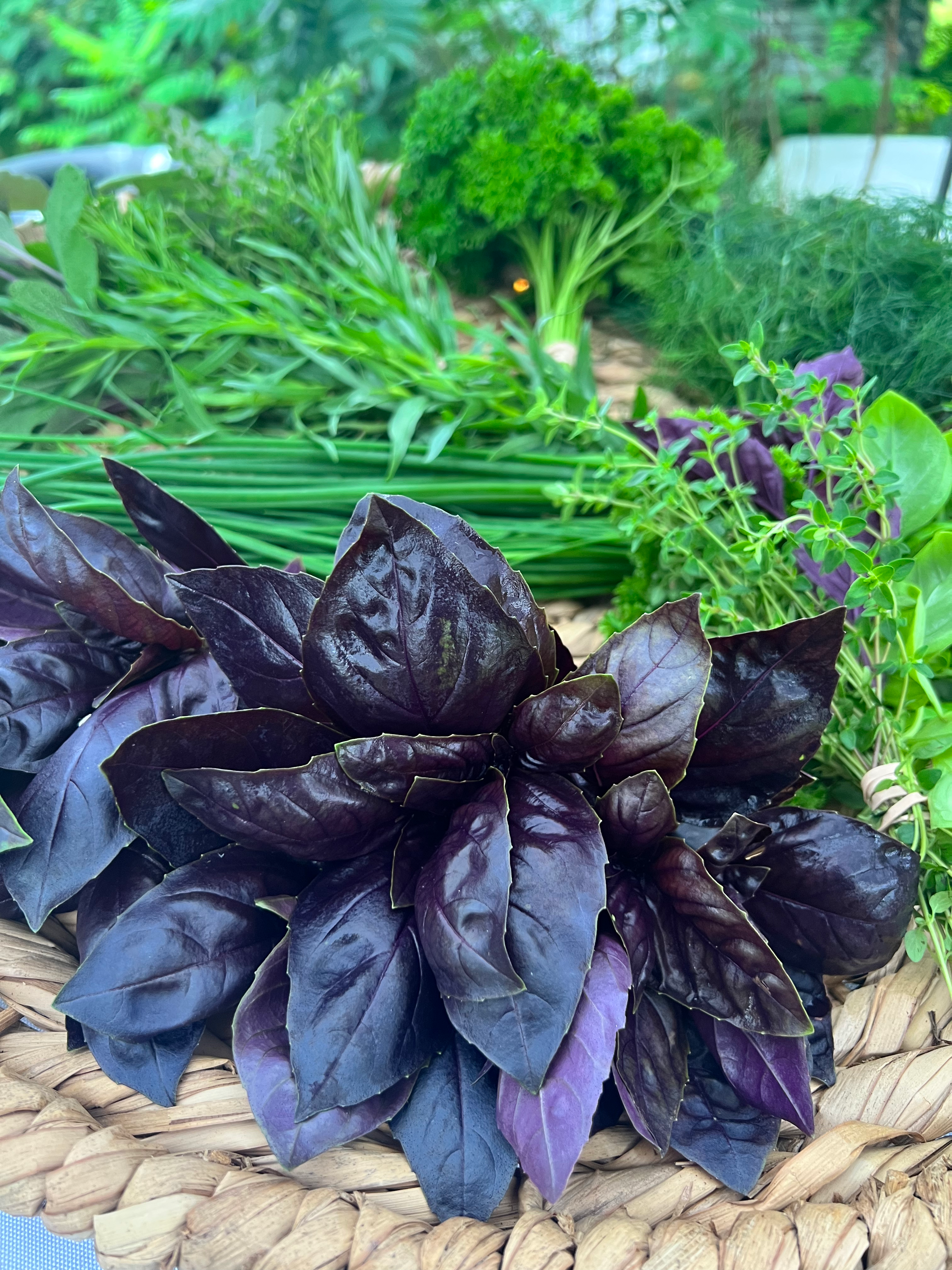 Fresh Herbs