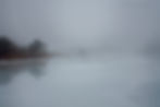Fort Pond Fog